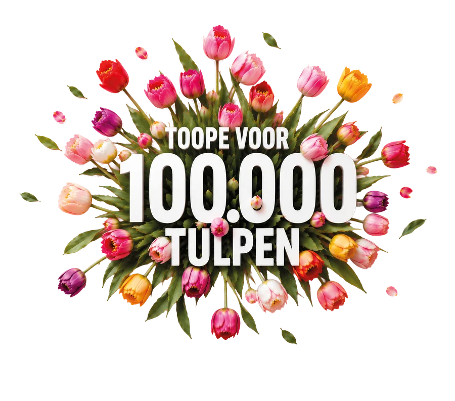 Toopé voor 100.000 tulpen